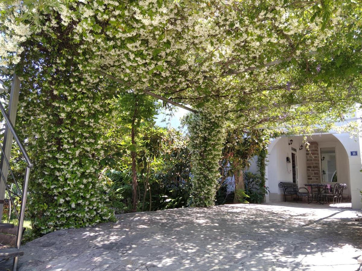 Apartments Simovic Tivat Exterior photo